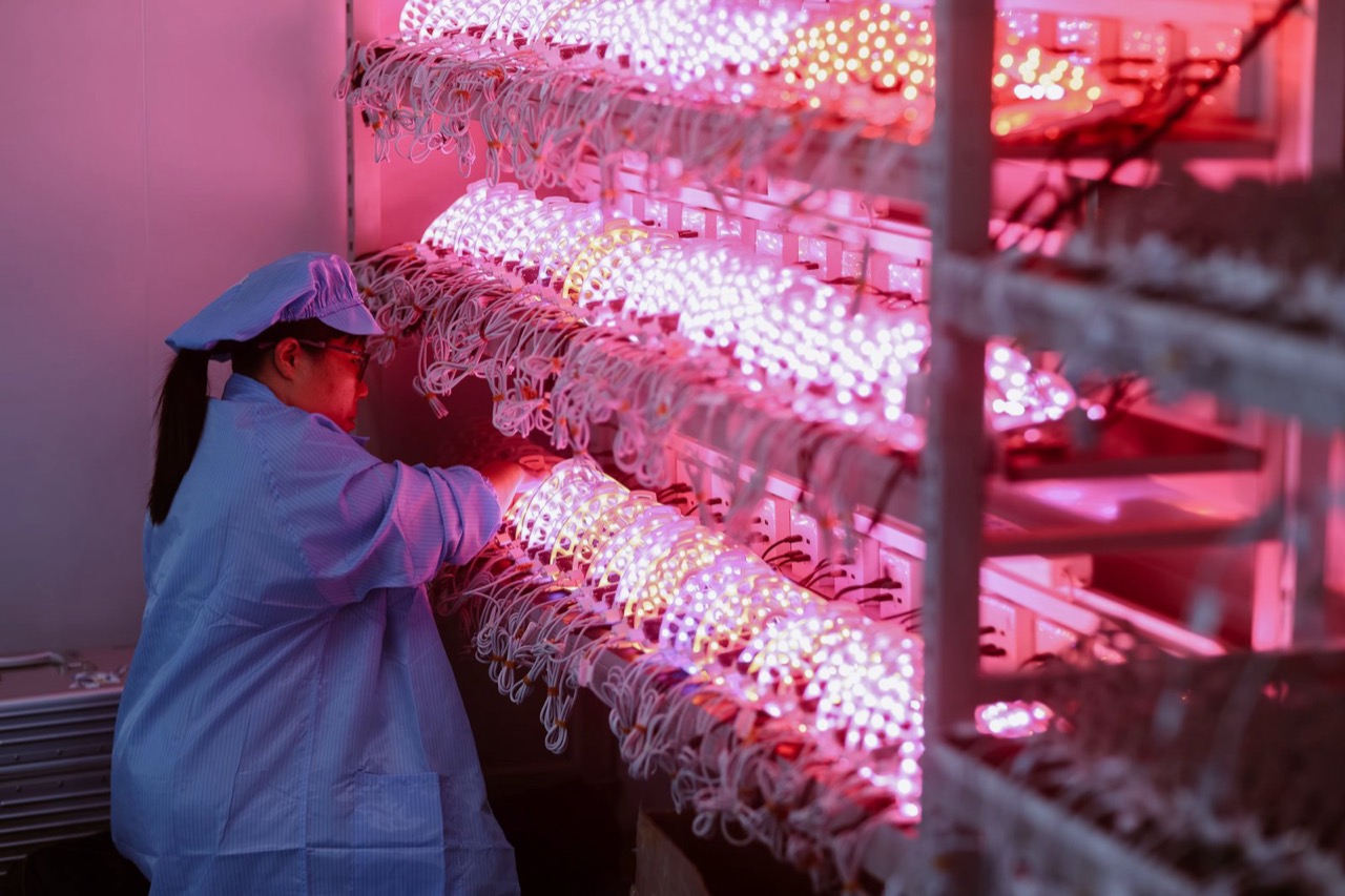 LED mask light output quality check on production line